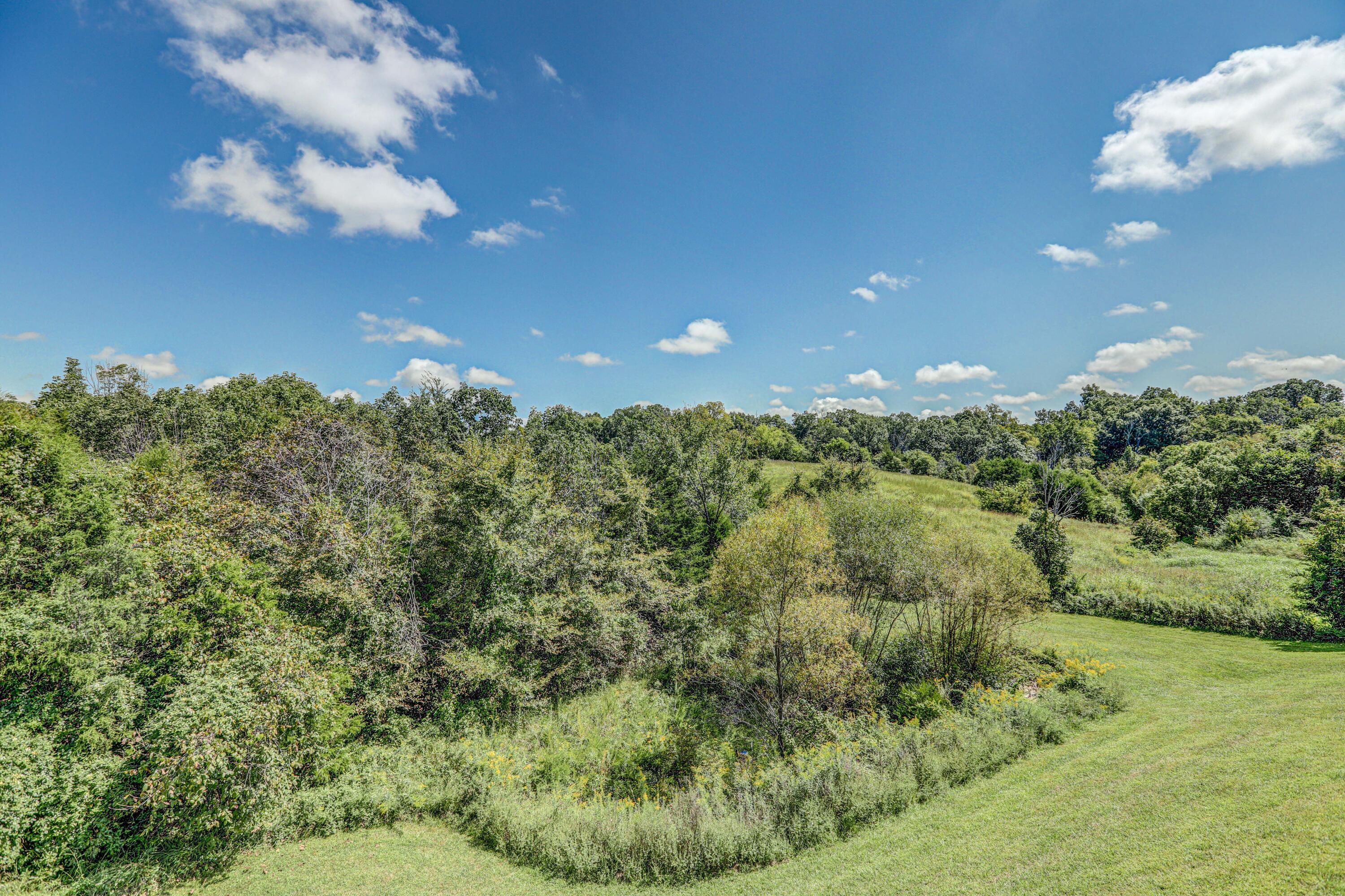 450 Billy Bible Road Greeneville, TN 37745 - Photo 42 of 44 B42A5156_57_58_59_60
