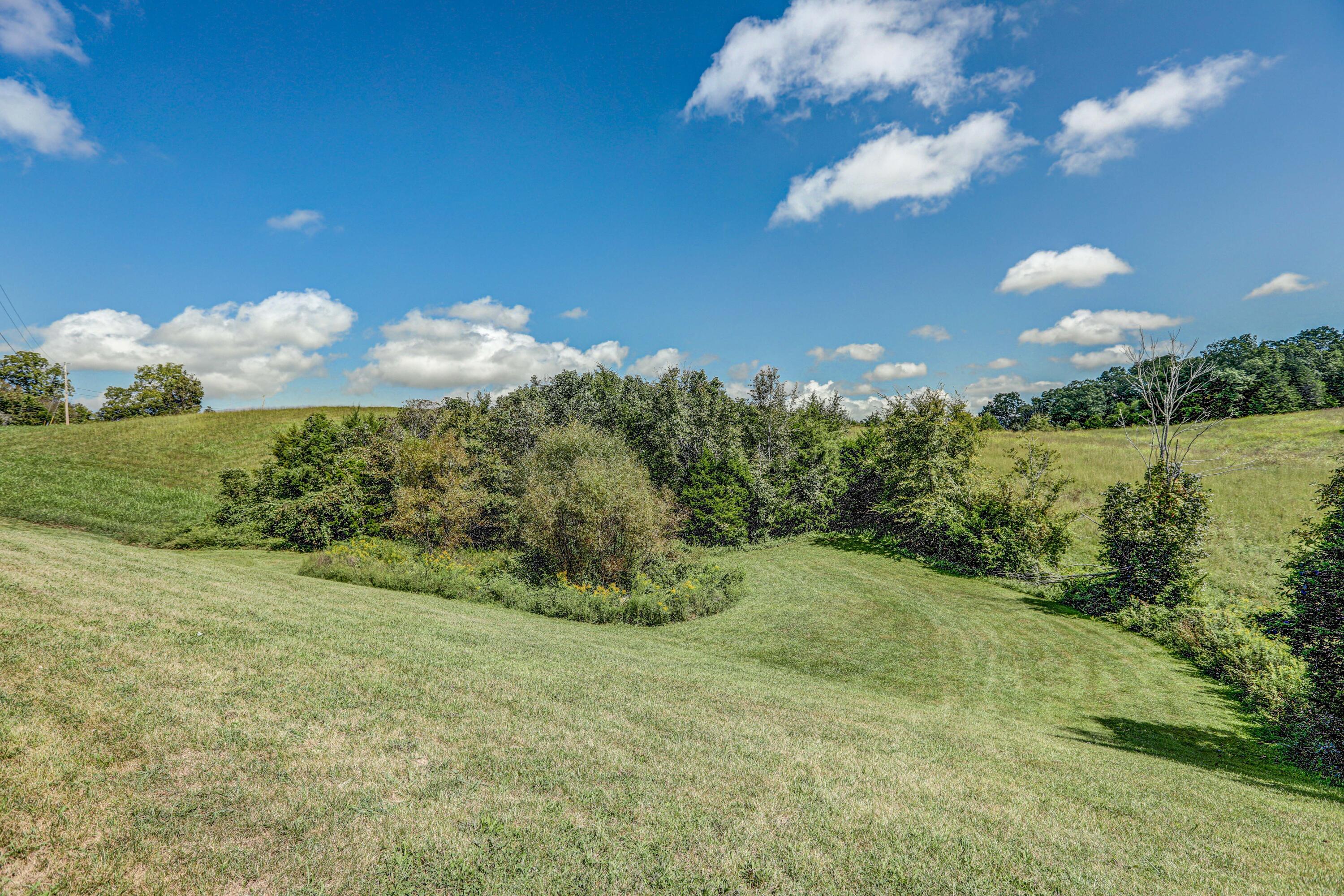450 Billy Bible Road Greeneville, TN 37745 - Photo 44 of 44 B42A5131_2_3_4_5