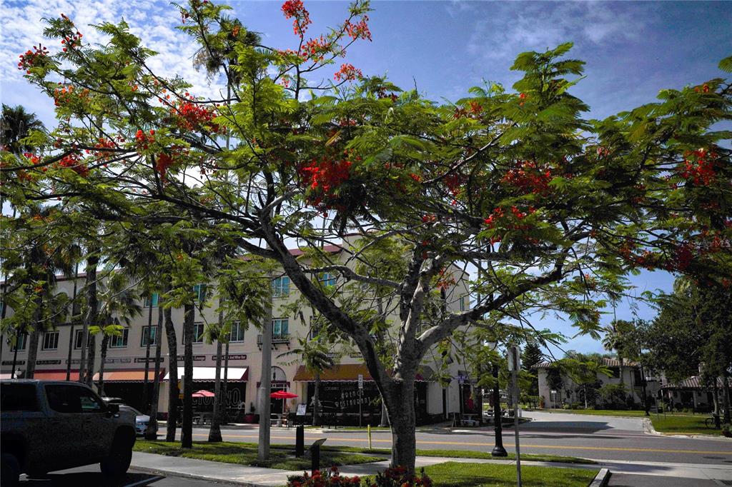 3207 Valencia Road Venice, FL 34293 - Photo 40 of 55 Gallery Image 40