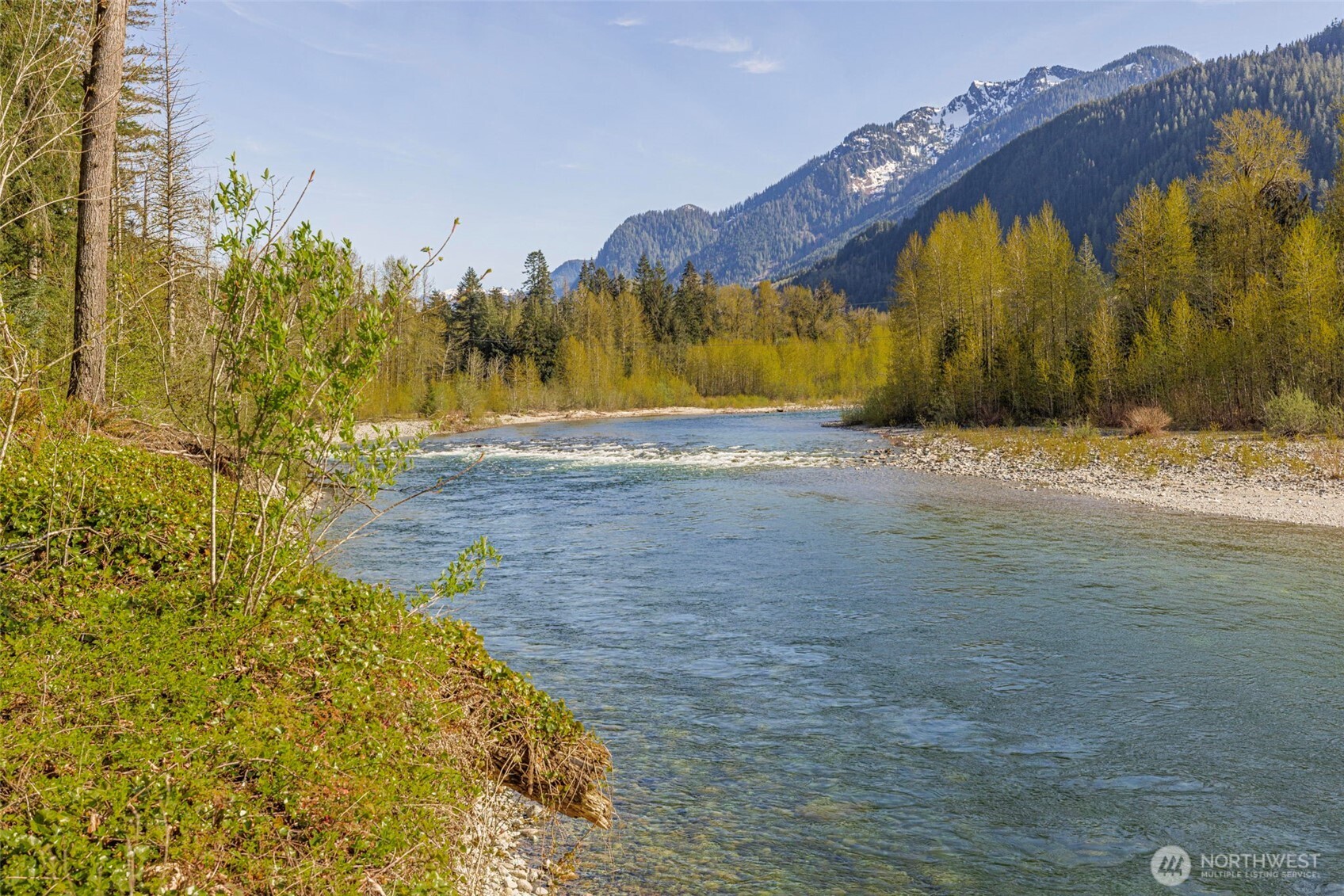 a view of swimming pool with a yard