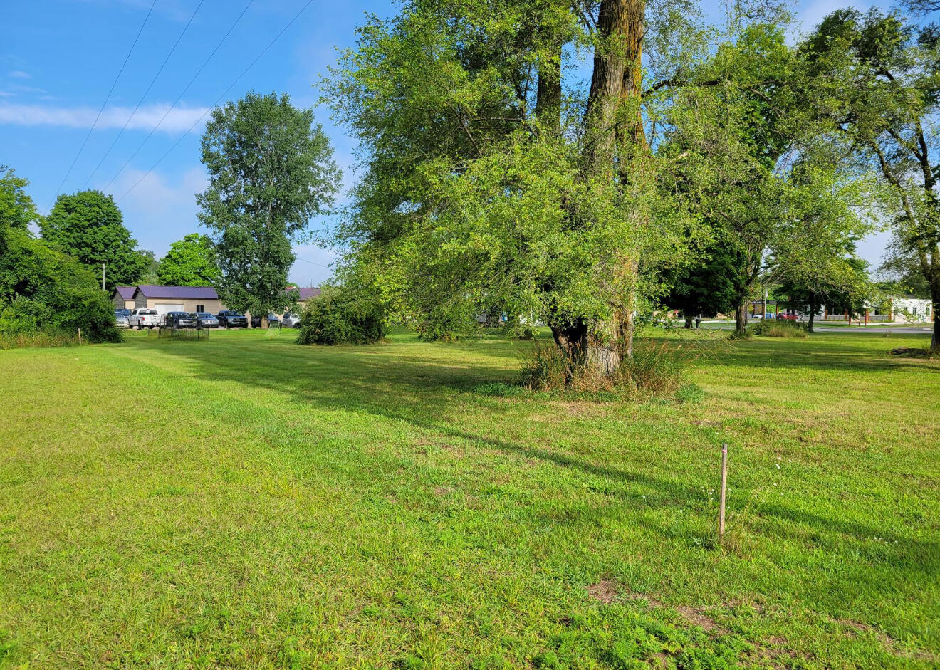 607 Shaw Street Howard City, MI 49329 - Photo 2 of 9 IMG_7786