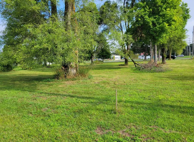 $69,900 | 607 Shaw Street, Howard City, MI 49329