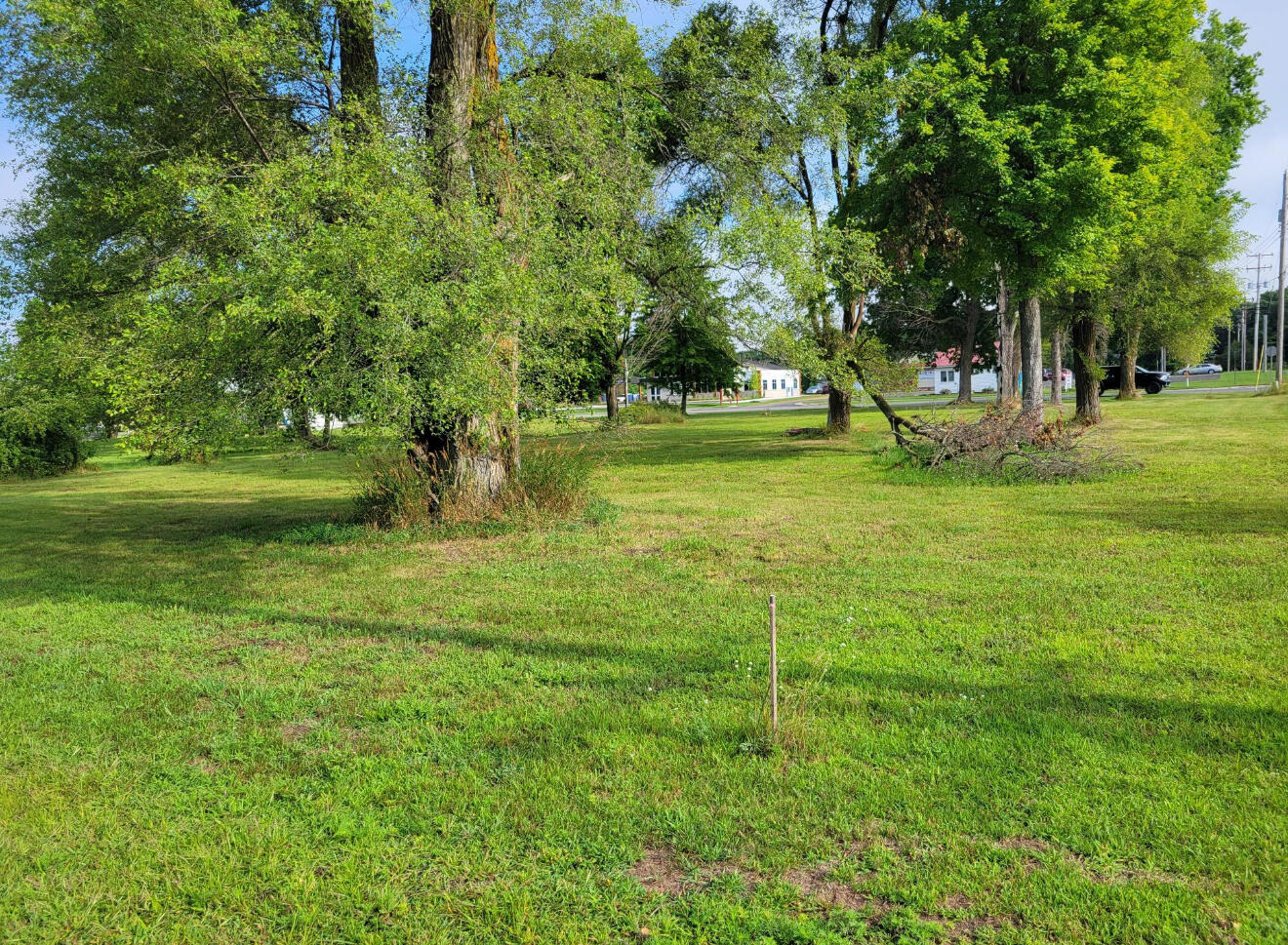 607 Shaw Street Howard City, MI 49329 - Photo 4 of 9 IMG_7785