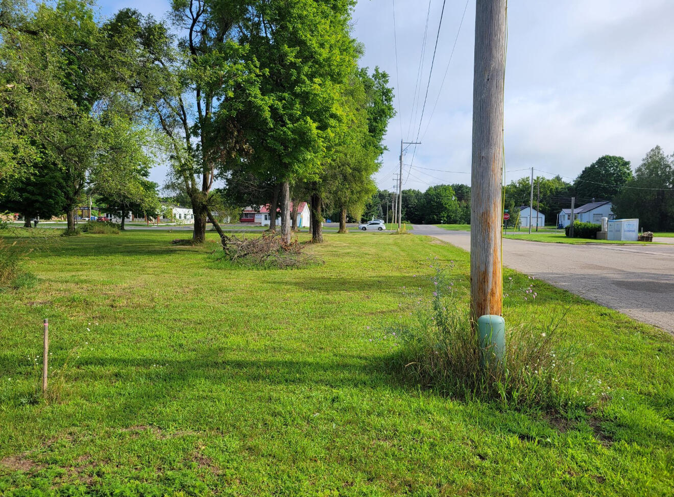 607 Shaw Street Howard City, MI 49329 - Photo 5 of 9 IMG_7787