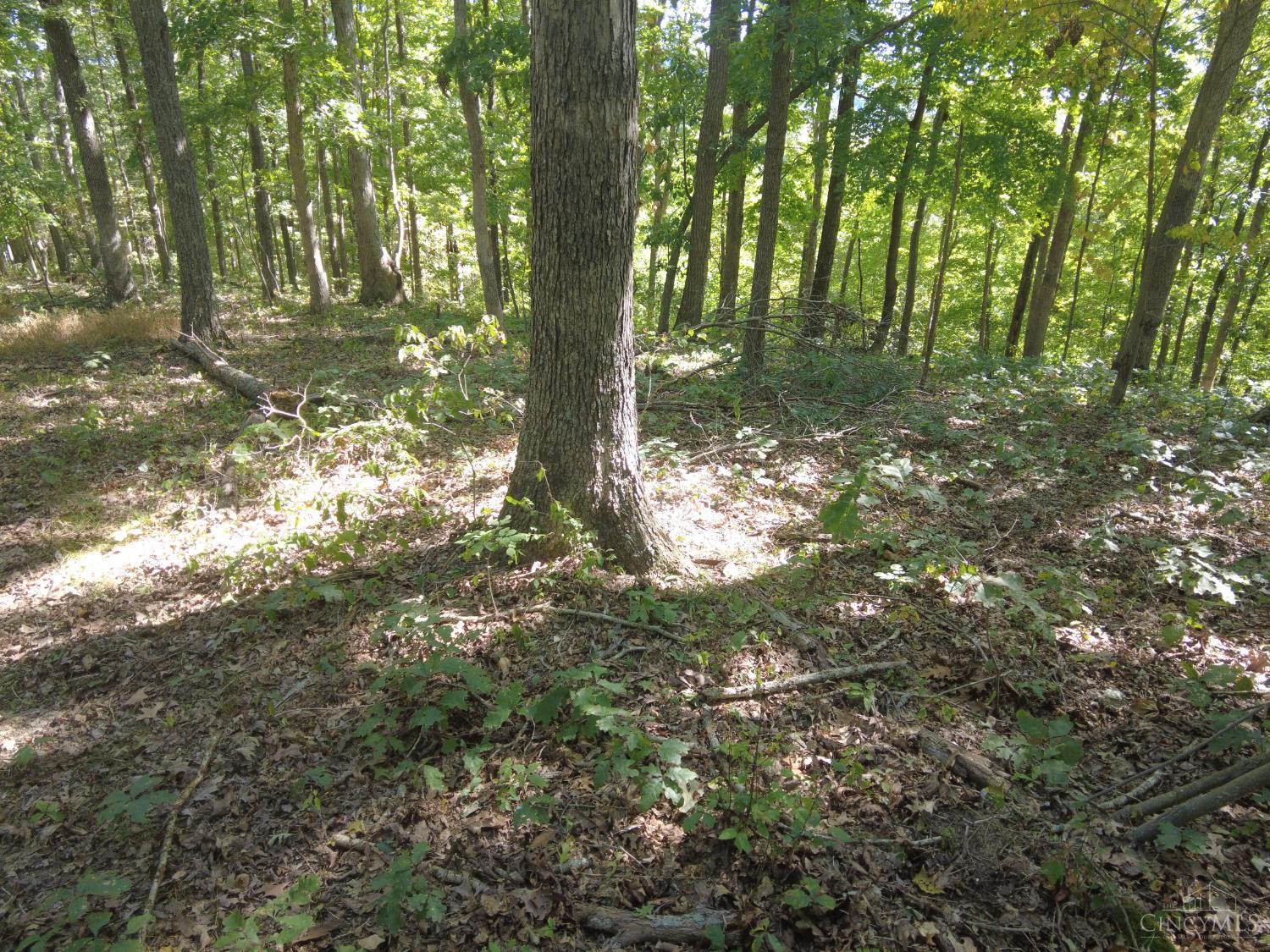 16 Black Hollow Road Peebles, OH 45660 - Photo 30 of 39