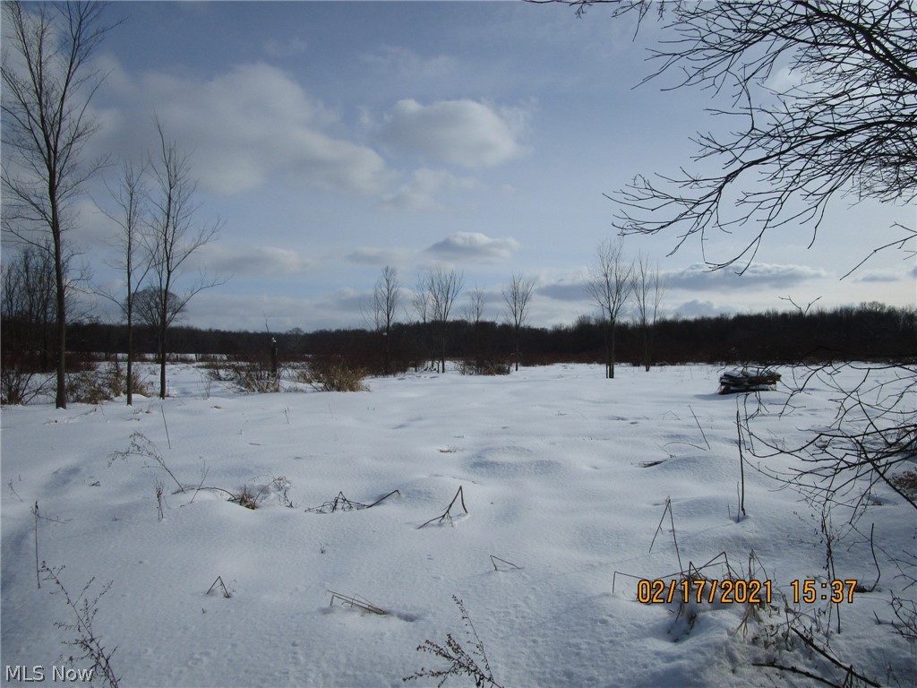 0 Allen-Comp Road Dorset, OH 44032 - Photo 7 of 9 Gallery Image 7