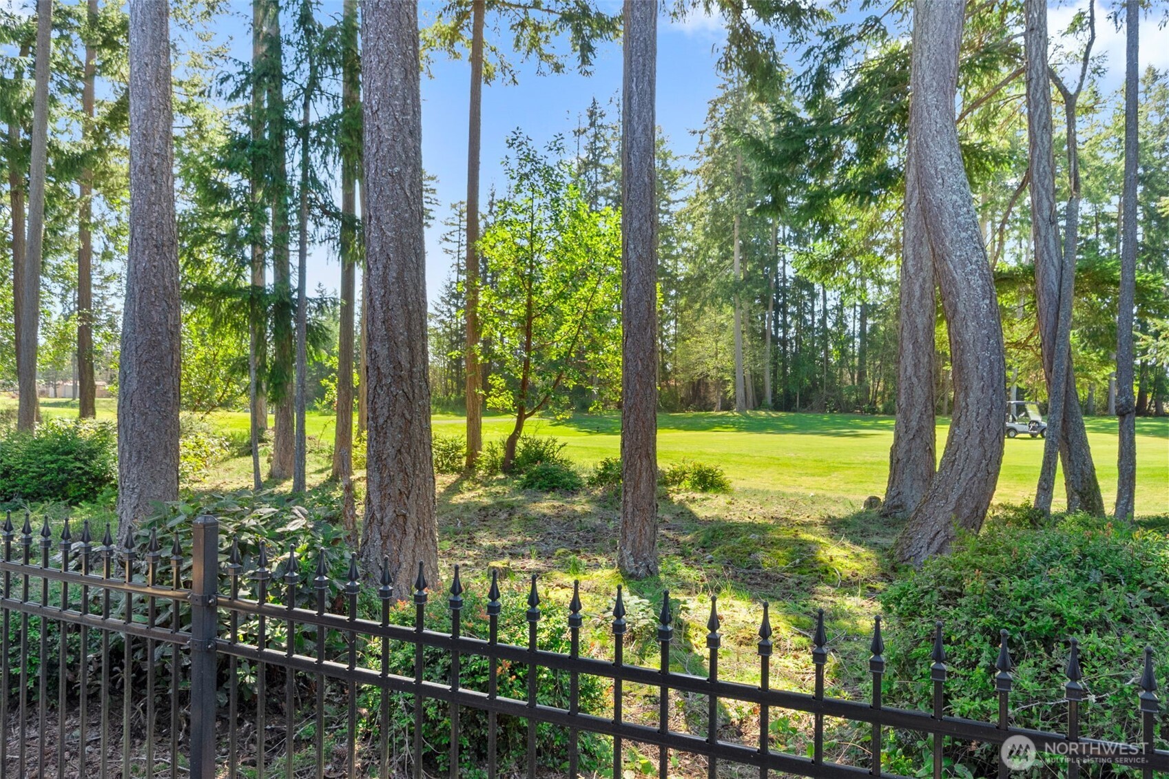 8235 Orcas Loop Northeast Olympia, WA 98516 - Photo 2 of 39 a view of lake from a tree