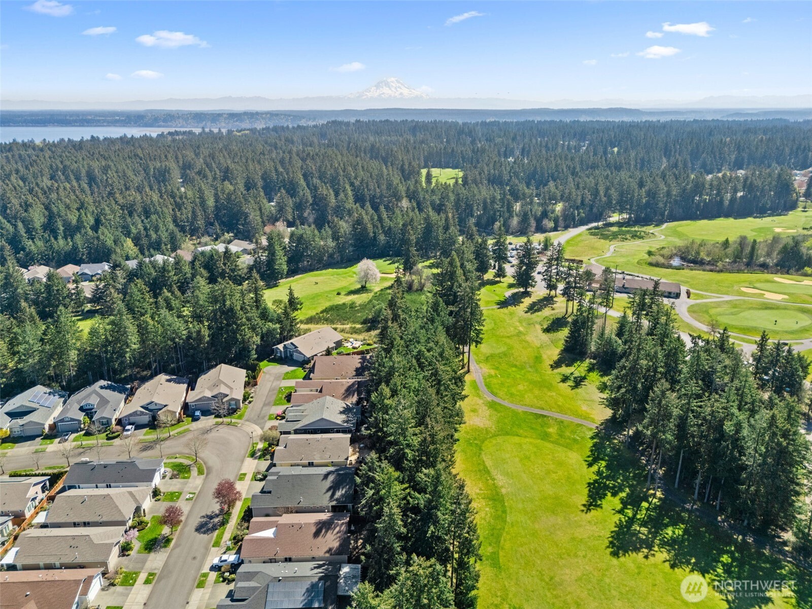 8235 Orcas Loop Northeast Olympia, WA 98516 - Photo 38 of 39 a view of a city