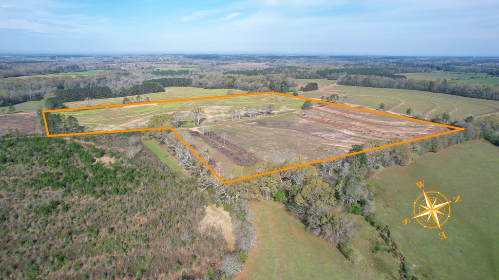 0 Travis Wise Road Samson, AL 36477 - Photo 4 of 21
