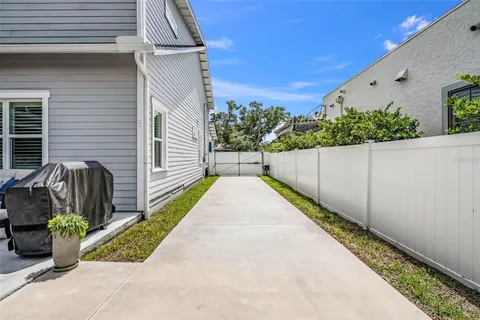 a view of backyard and tree