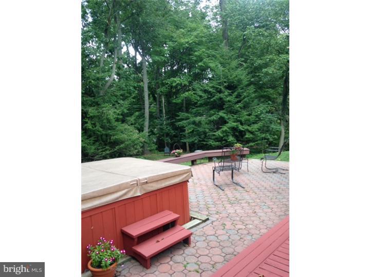 84 Jolind Road Paoli, PA 19301 - Photo 2 of 11 Back Yard