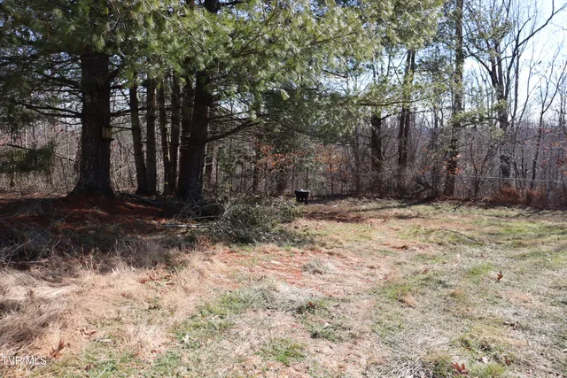 $139,000 | 154 Old Stone Drive, Clintwood, VA 24228