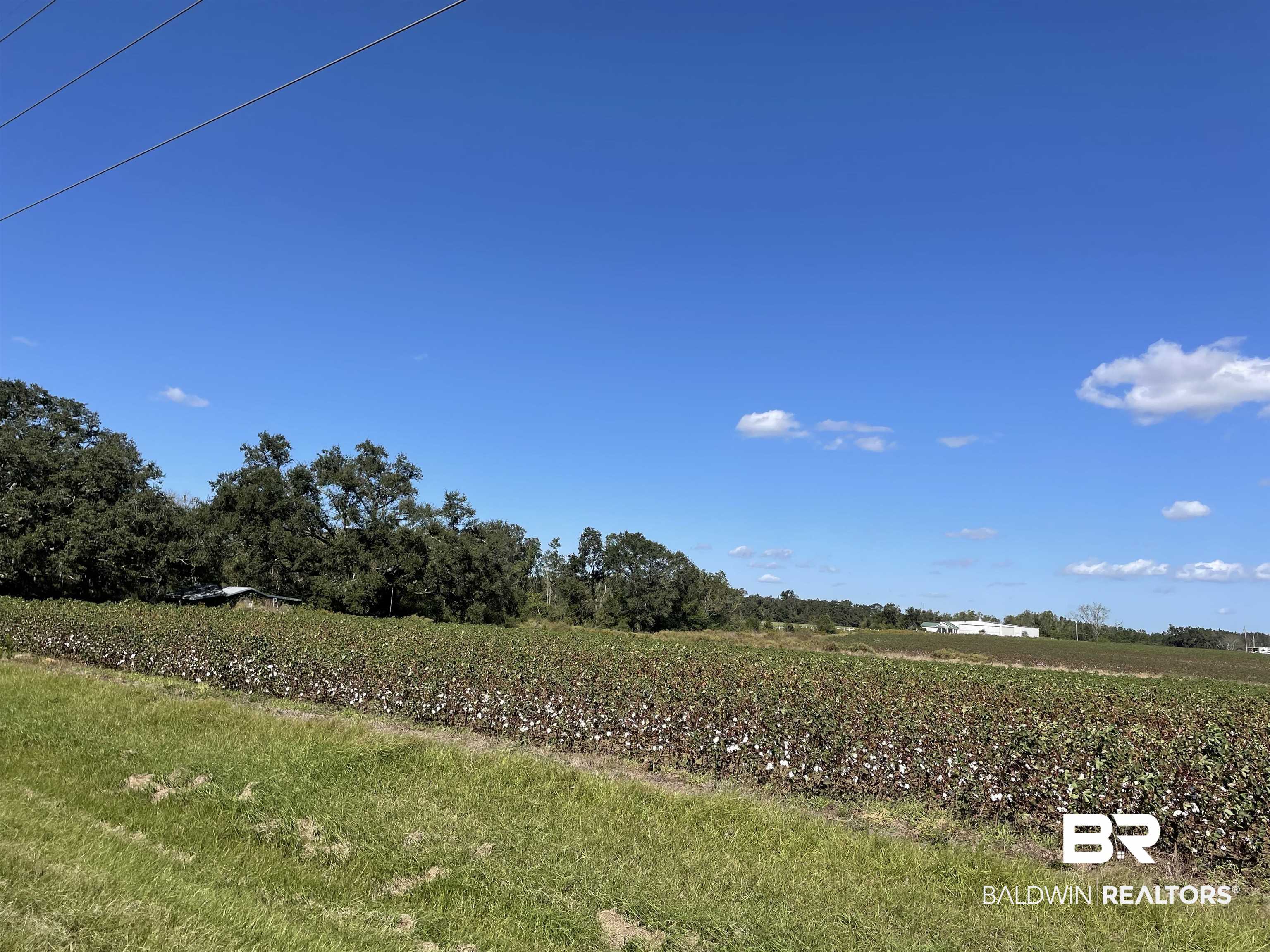 15259 Bay Road East Foley, AL 36535 - Photo 5 of 6