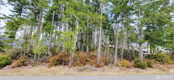 a view of a garden with plants