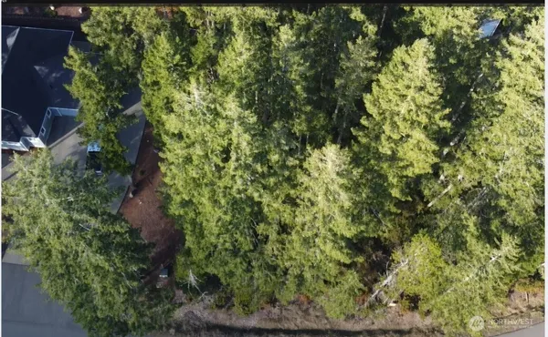 a view of a street with a trees