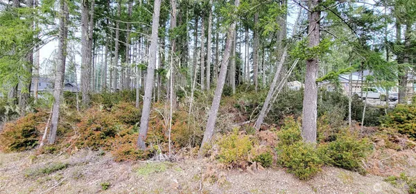 a view of outdoor space with trees
