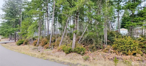 a view of a yard with plants and trees