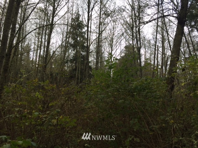 1153 Harmony Road Oak Harbor, WA 98277 - Photo 14 of 25 Gallery Image 14