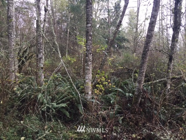 1153 Harmony Road Oak Harbor, WA 98277 - Photo 4 of 25 Gallery Image 4