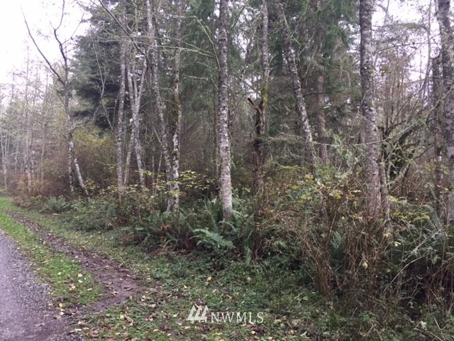 1153 Harmony Road Oak Harbor, WA 98277 - Photo 5 of 25 Gallery Image 5