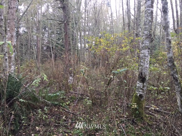 1153 Harmony Road Oak Harbor, WA 98277 - Photo 10 of 25 Gallery Image 10
