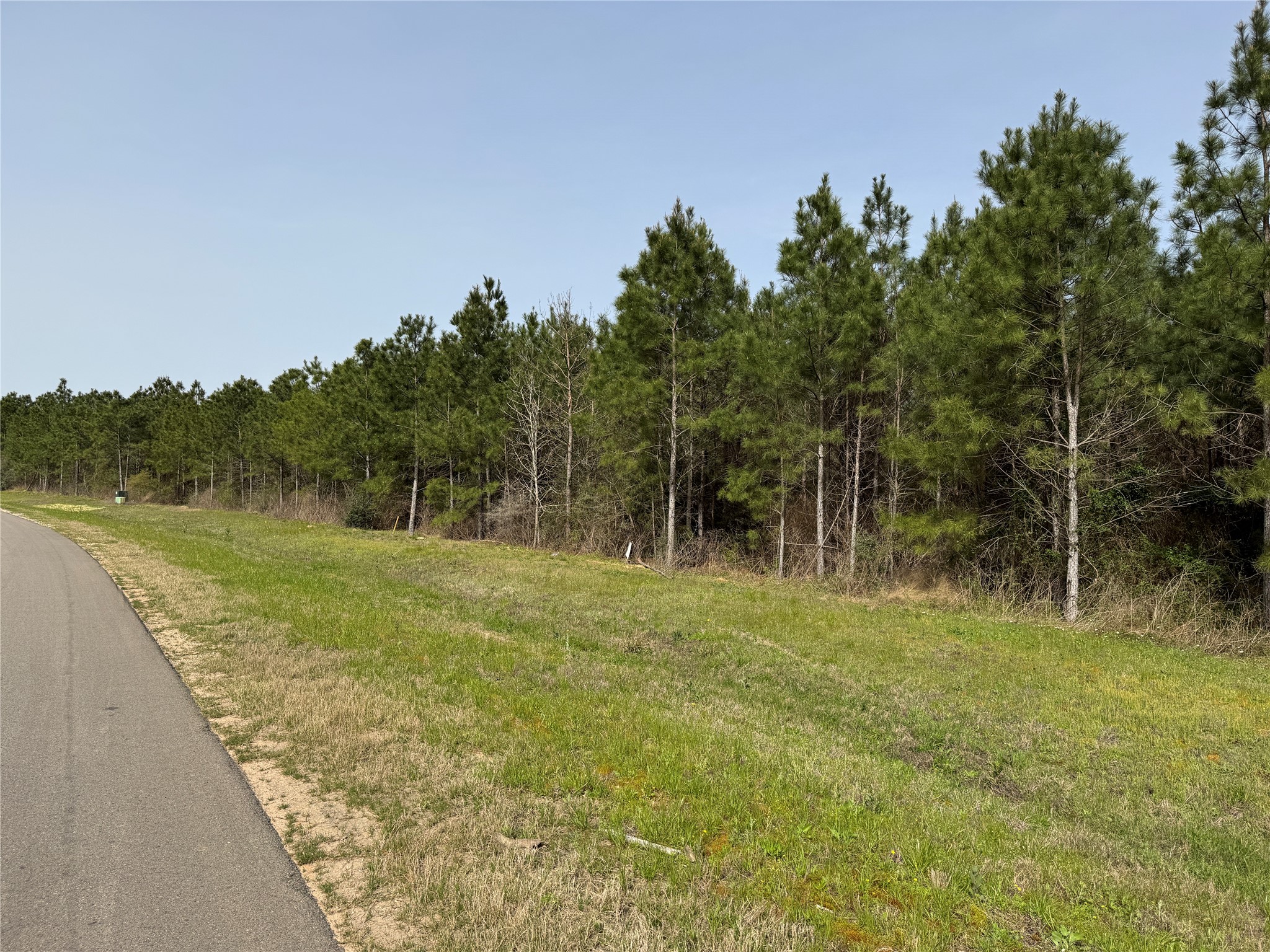 15751 Ridge Rock Road Willis, TX 77378 - Photo 5 of 19 a view of a field with trees in the background