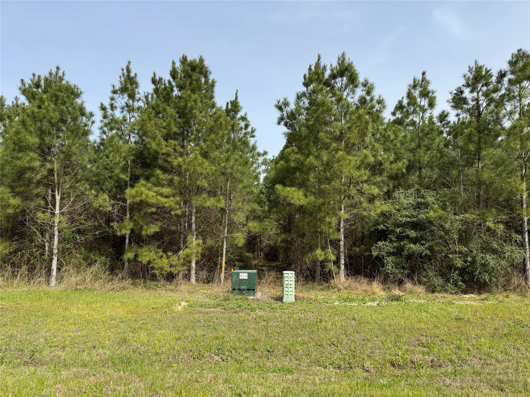 15751 Ridge Rock Road Willis, TX 77378 - Photo 7 of 19 a backyard of a house with lots of green space