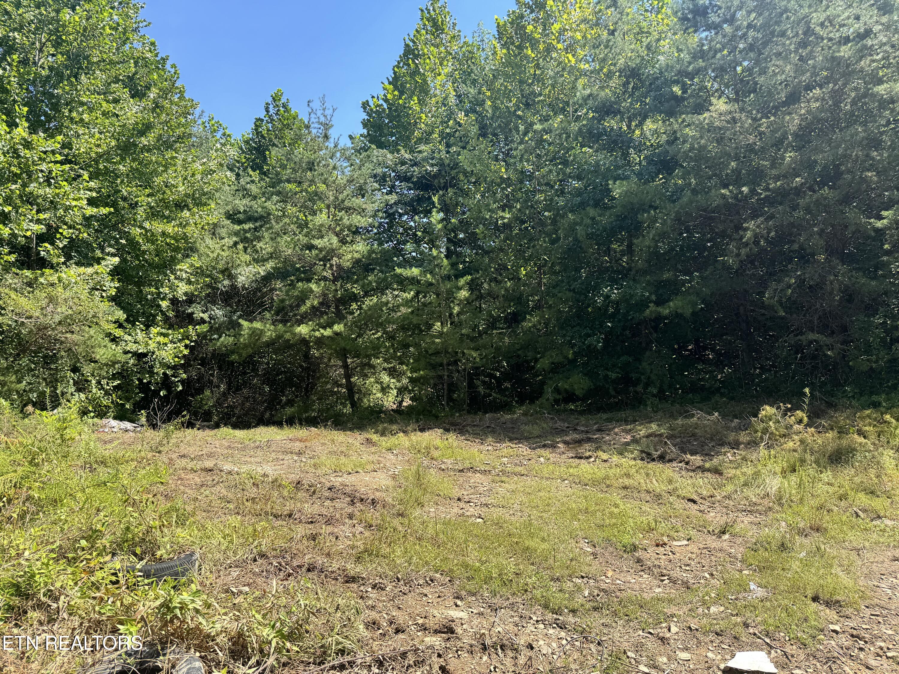 955 Rock Haven Road Bean Station, TN 37708 - Photo 26 of 28 Top of Property 2