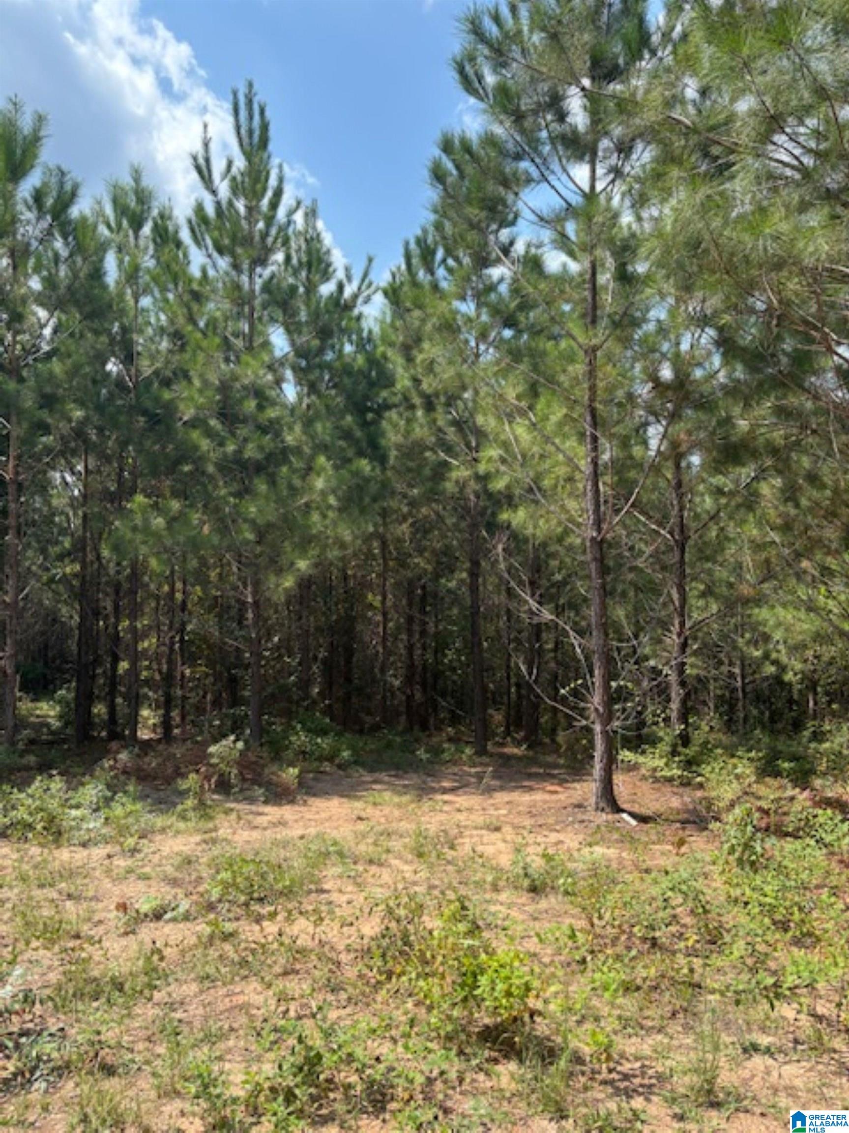 472 County Road, Unit 2 Clanton, AL 35045 - Photo 8 of 10
