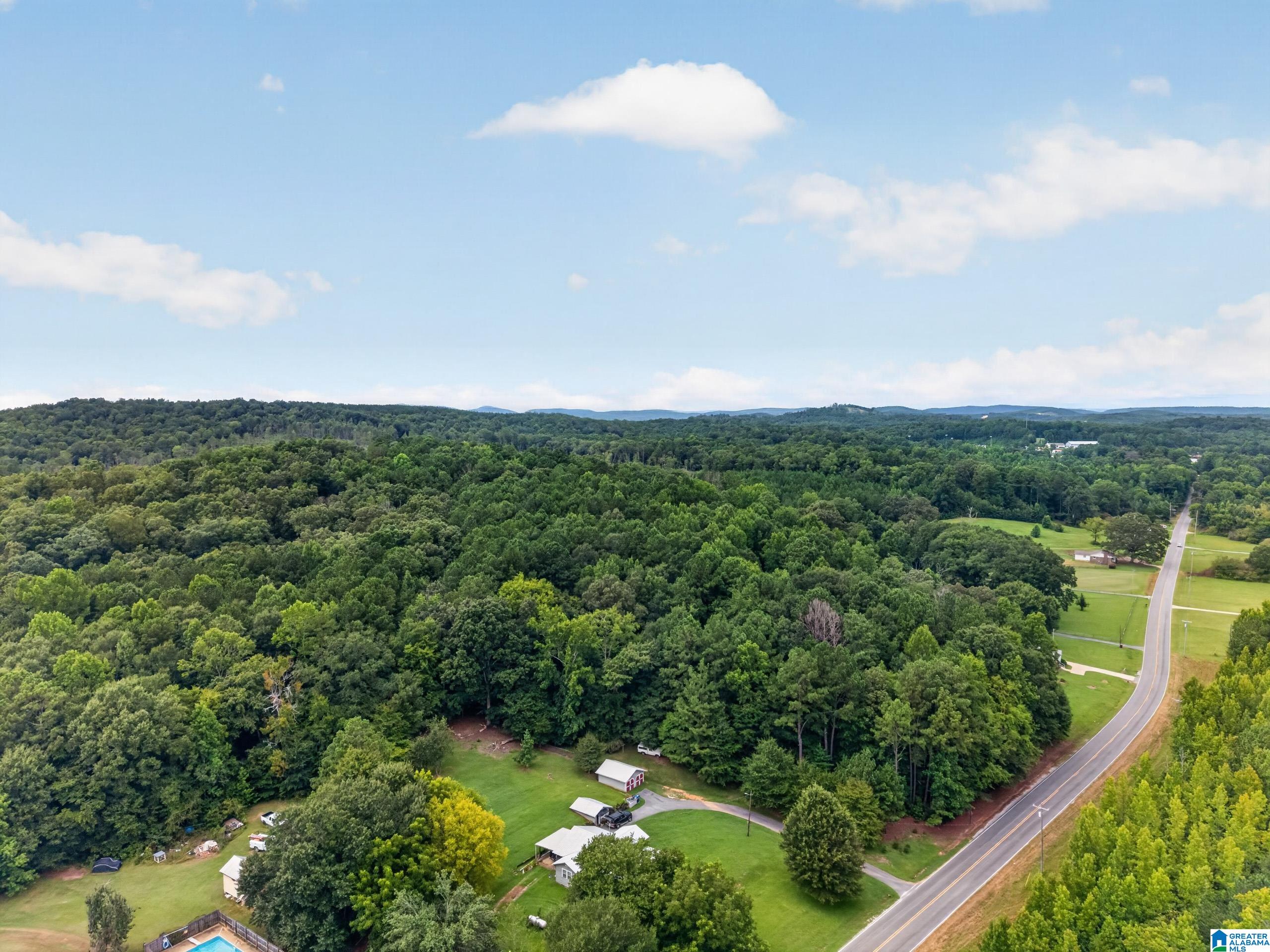 0 Pleasant Valley Road Jacksonville, AL 36265 - Photo 2 of 14 Gallery Image 2