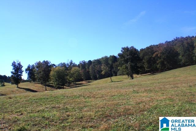1785 Nunnally Lake Road Ohatchee, AL 36271 - Photo 33 of 50