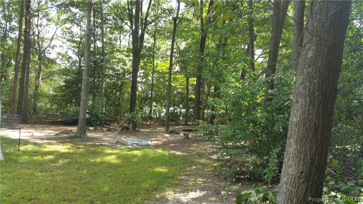 4766 Hickory Fork Road Gloucester, VA 23061 - Photo 10 of 10 Backyard