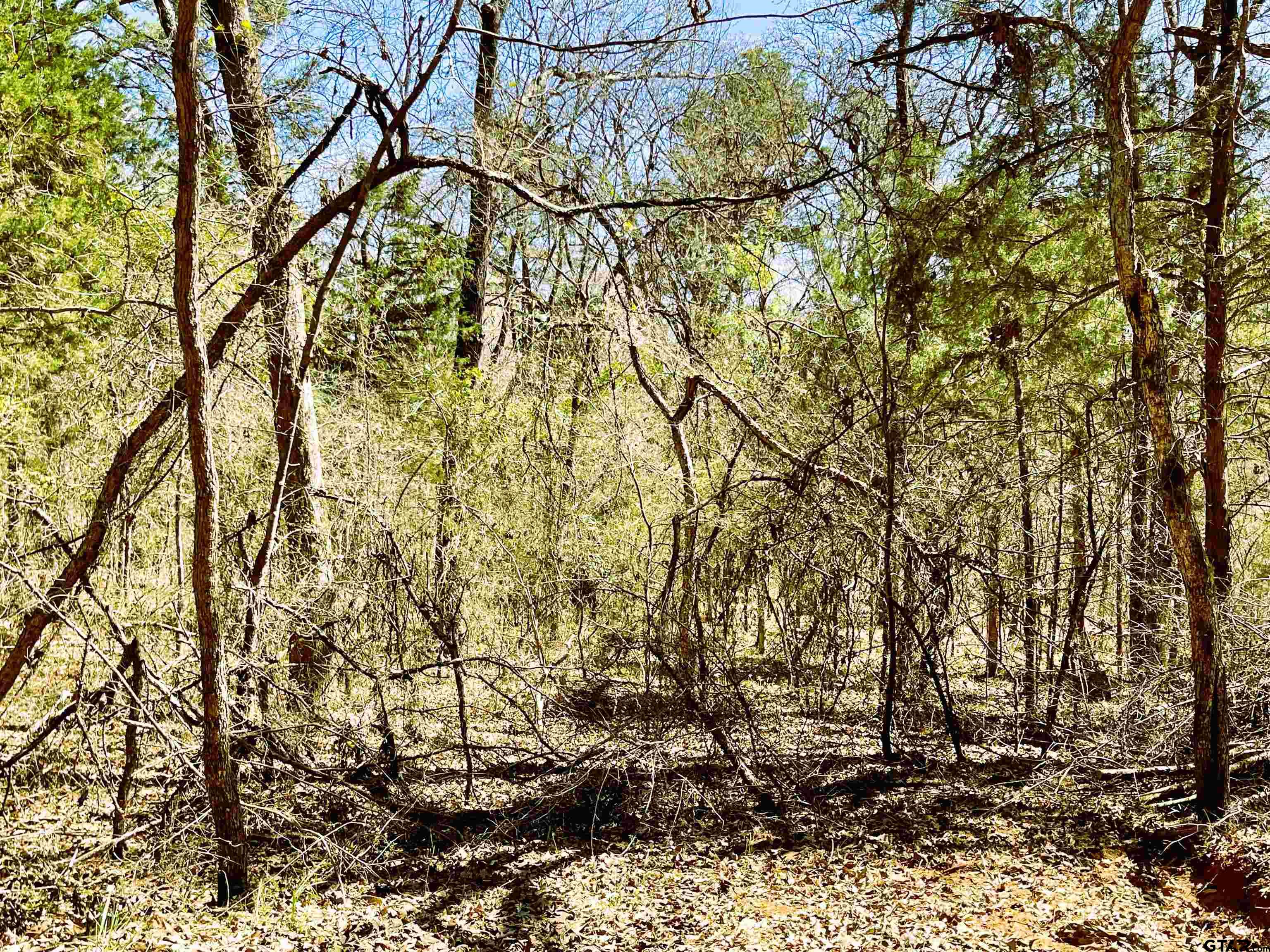 a backyard of a house with a tree