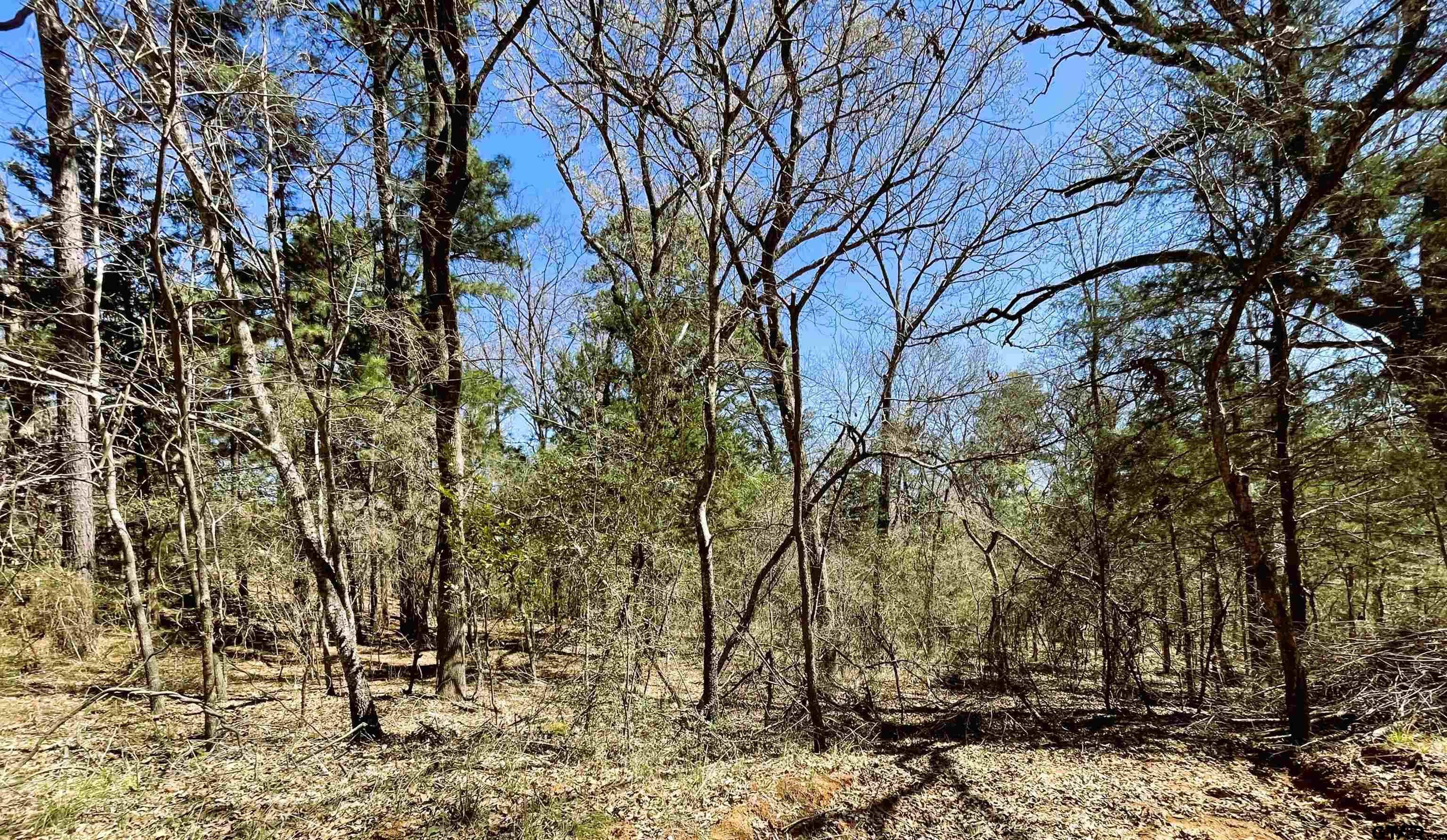 17965 Meandering Way Flint, TX 75762 - Photo 2 of 7 a backyard of a house with lots of green space