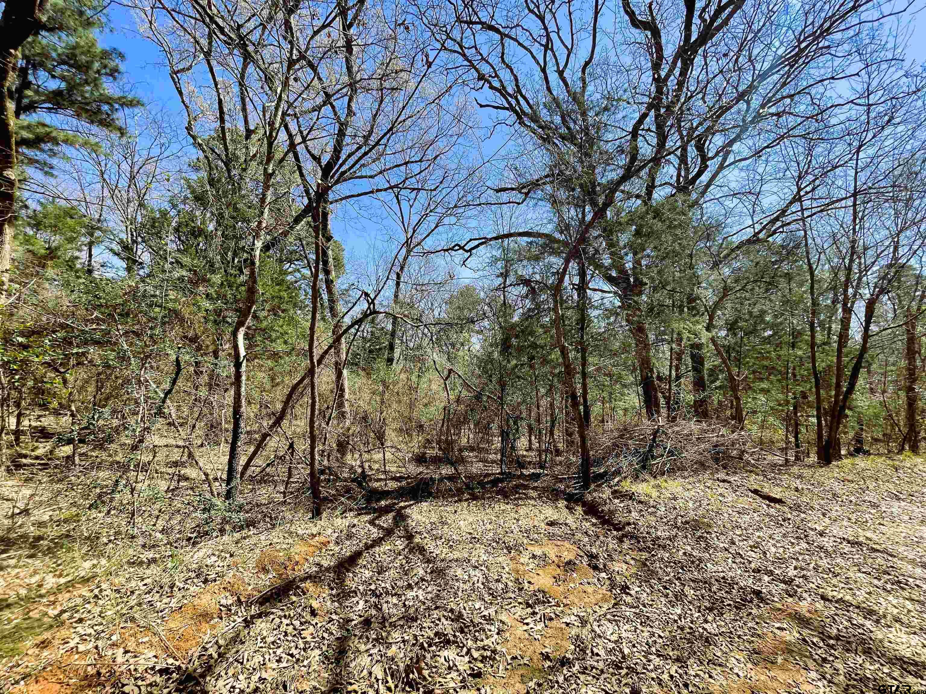 17965 Meandering Way Flint, TX 75762 - Photo 4 of 7 a view of covered with snow