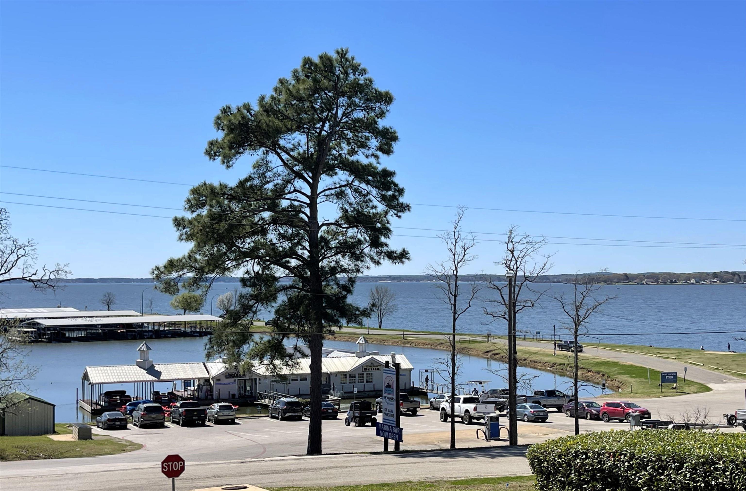 17965 Meandering Way Flint, TX 75762 - Photo 7 of 7 a view of a street with cars