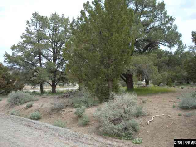 2271 Empire Road, Unit 24 Reno, NV 89521 - Photo 1 of 9 a view of a dry yard with trees