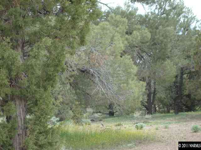 2271 Empire Road, Unit 24 Reno, NV 89521 - Photo 2 of 9 a view of a forest with trees in the background