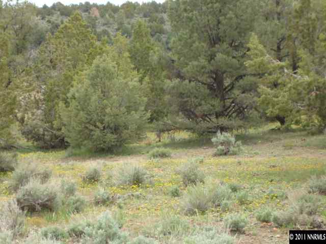 2271 Empire Road, Unit 24 Reno, NV 89521 - Photo 4 of 9