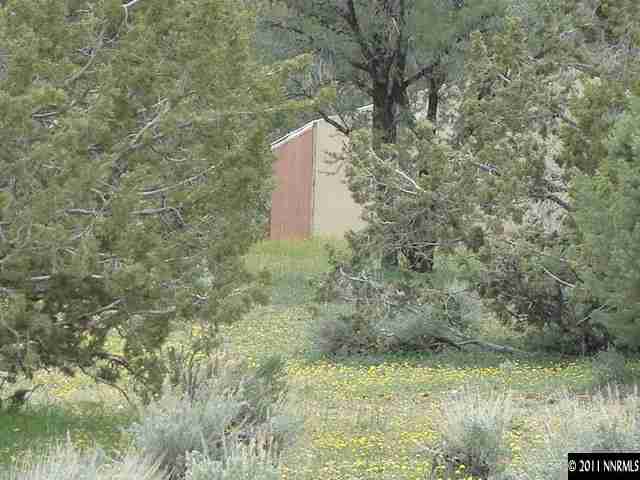 2271 Empire Road, Unit 24 Reno, NV 89521 - Photo 5 of 9 a view of a forest with a bench and large trees