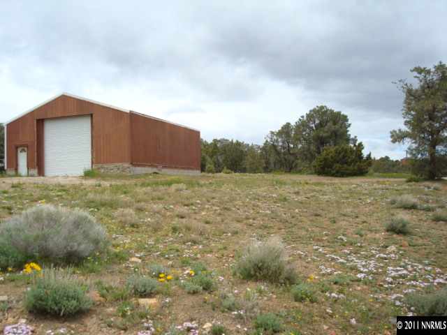 2271 Empire Road, Unit 24 Reno, NV 89521 - Photo 6 of 9 a view of a big yard with plants and large trees