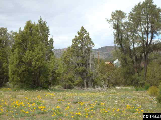 2271 Empire Road, Unit 24 Reno, NV 89521 - Photo 9 of 9 a view of a yard