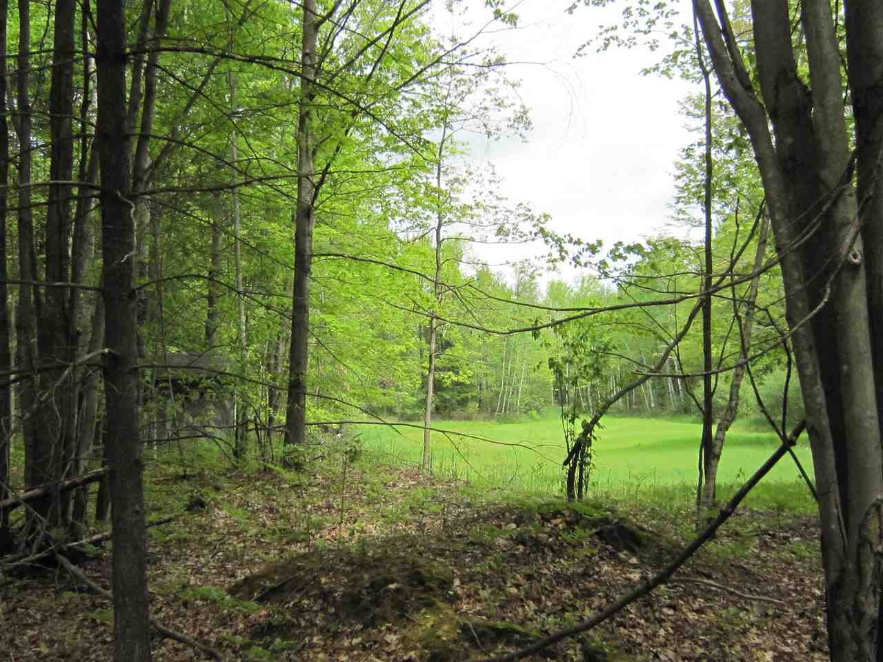 2900 Bass Lake Road Lupton, MI 48635 - Photo 10 of 86 1887746-9.JPG