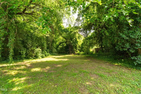a view of a trees with a yard