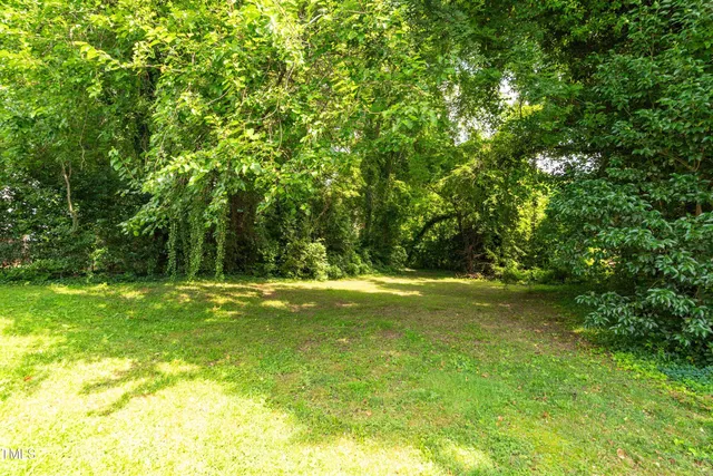 a view of a trees in a yard