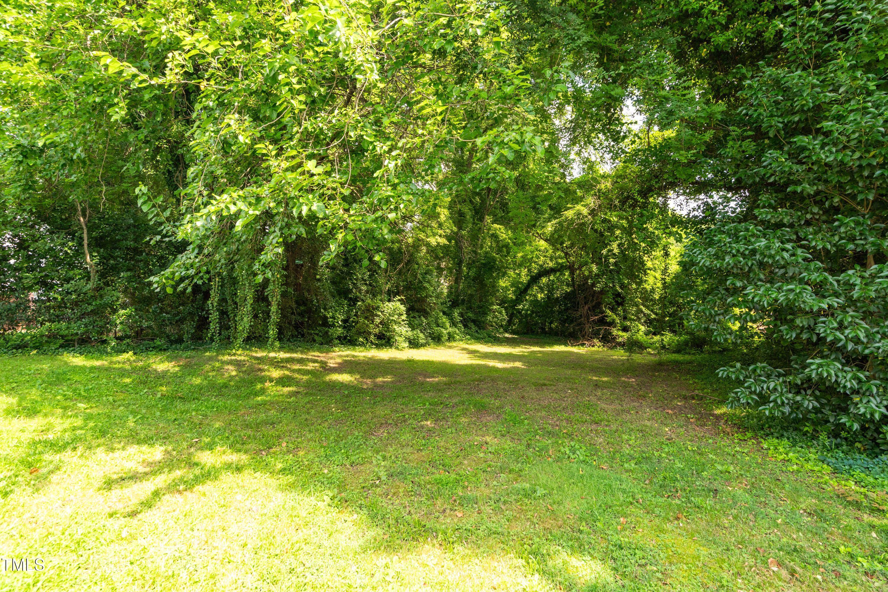905 Morehead Avenue Durham, NC 27707 - Photo 2 of 4 a view of a trees in a yard