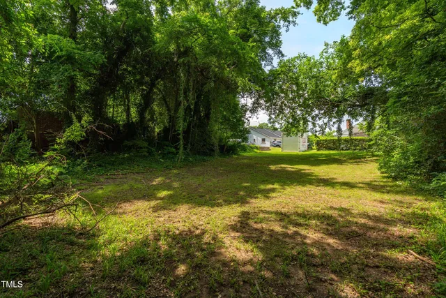 a view of a trees in a yard