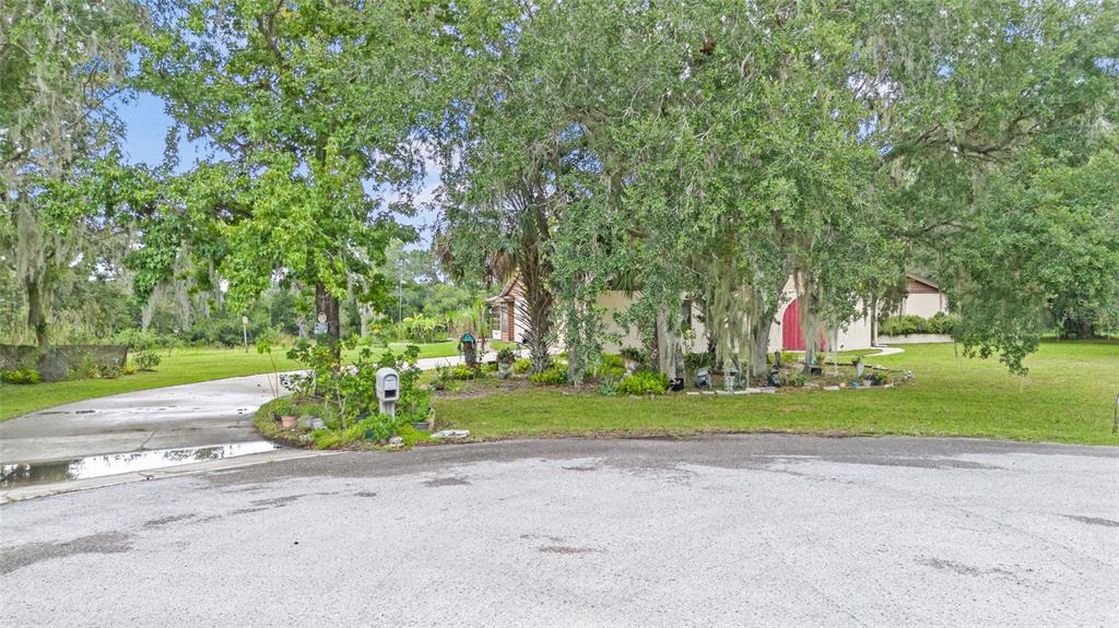 53 North Archwood Drive Inverness, FL 34450 - Photo 5 of 81 a view of a park with large trees