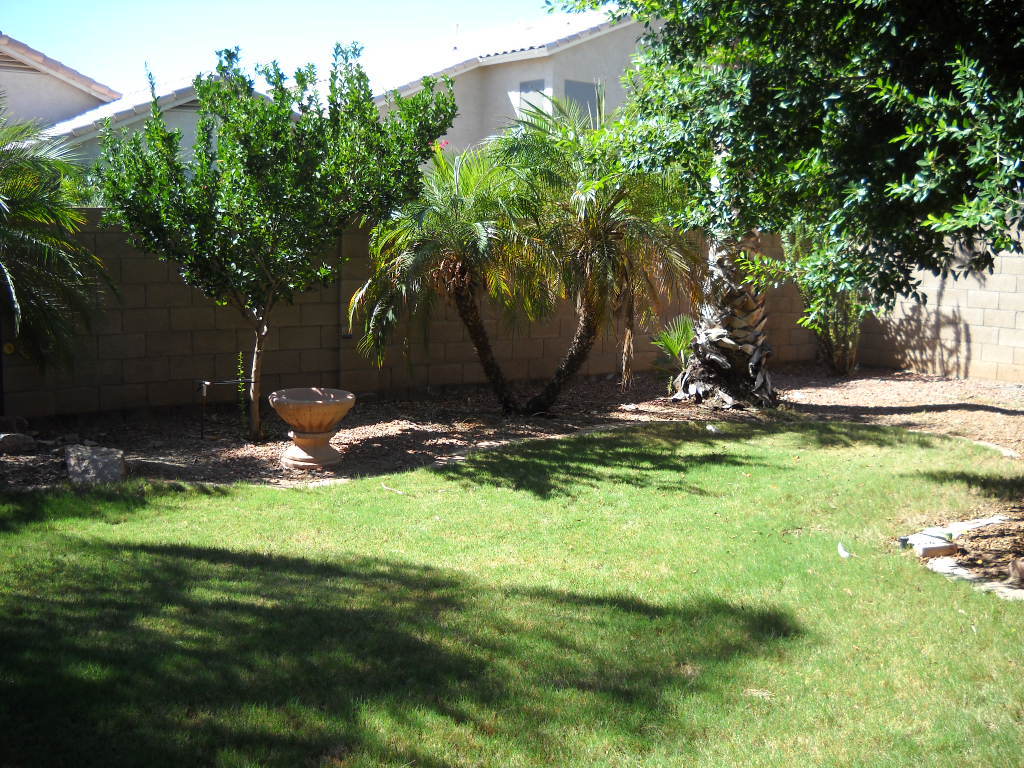 445 West Colt Road Tempe, AZ 85284 - Photo 11 of 15 Backyard
