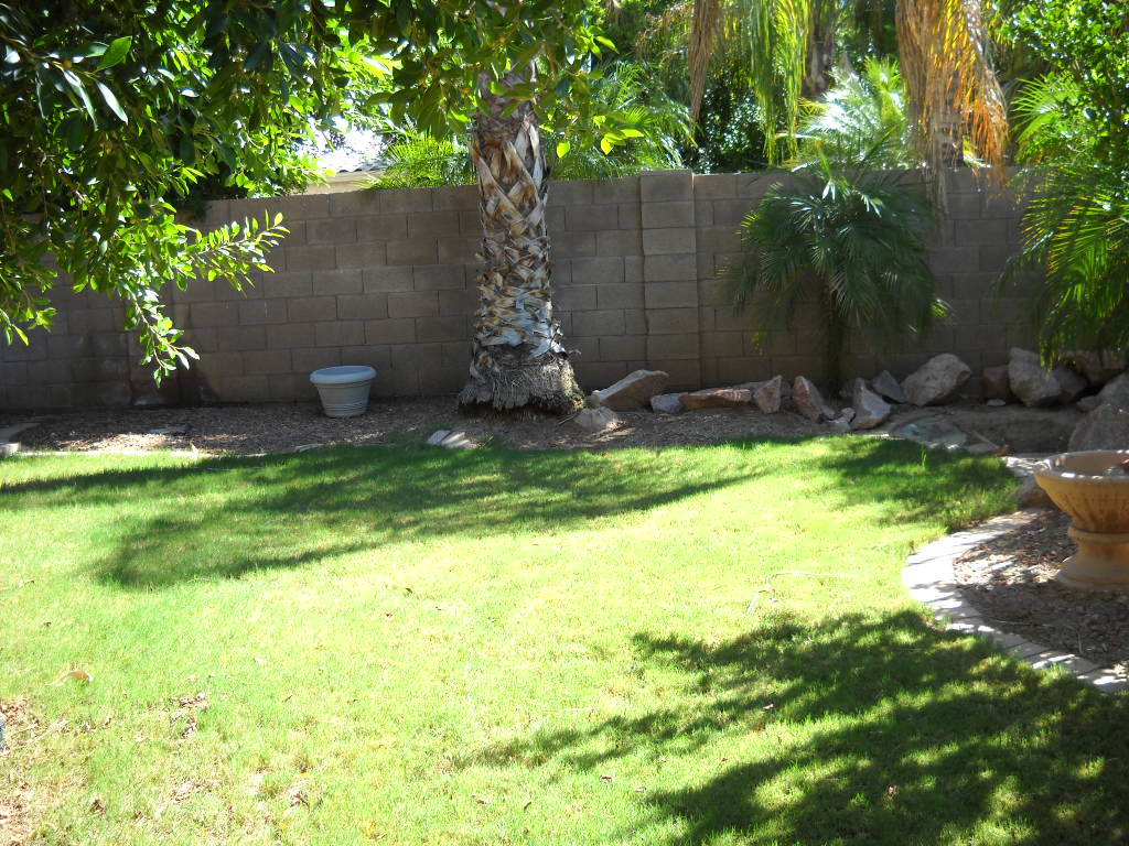 445 West Colt Road Tempe, AZ 85284 - Photo 13 of 15 Backyard